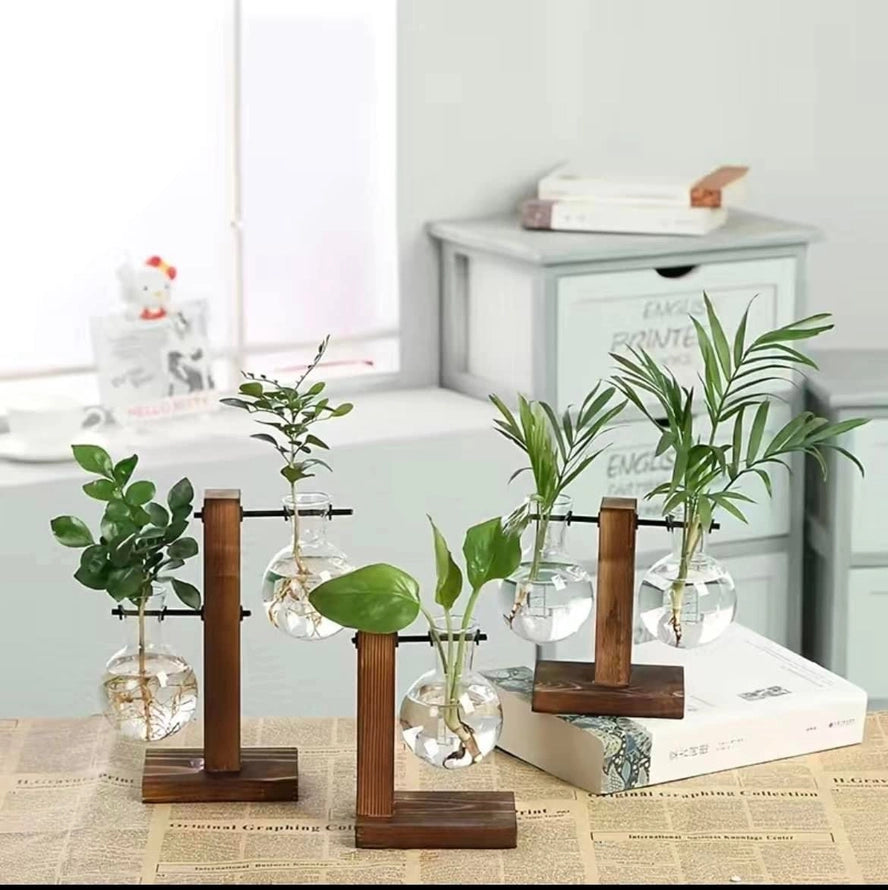 flowering hydroponic plants Wooden Frame Glass Vase Planter Desktop Hydroponics Plant Bonsai Flower Pot