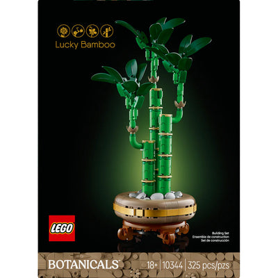 Lucky Bamboo