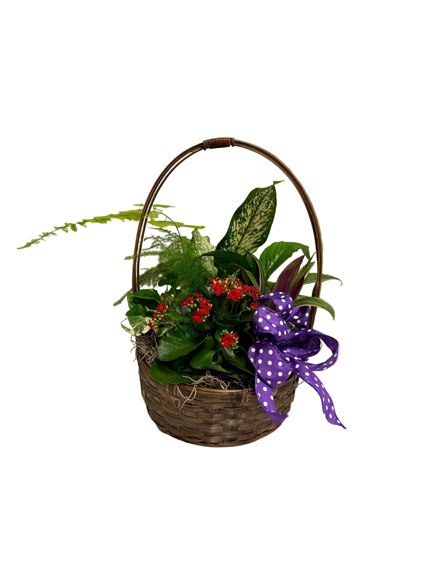 Basket Garden