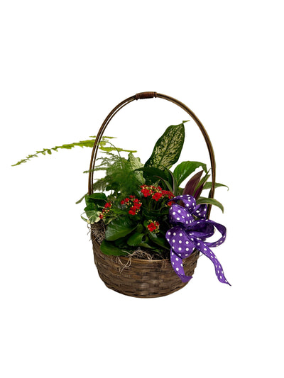 Basket Garden