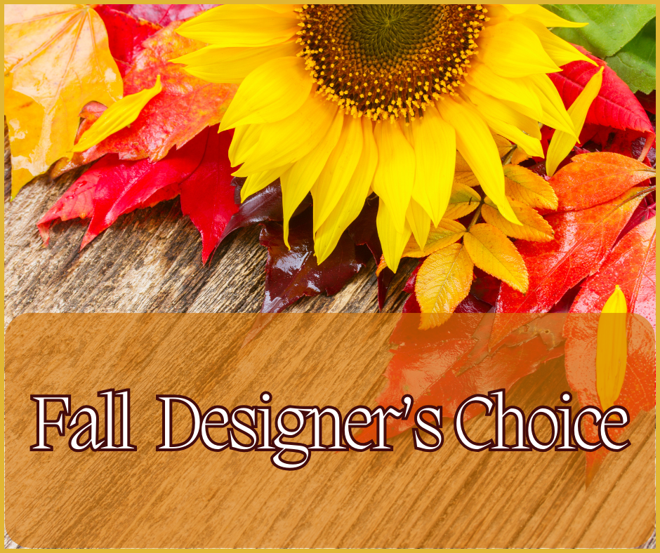 Fall Designer's Choice