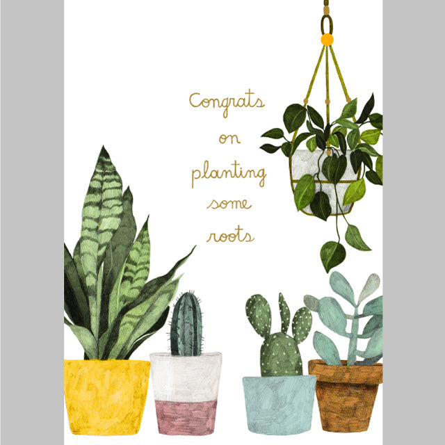 Greeting cards House Plants