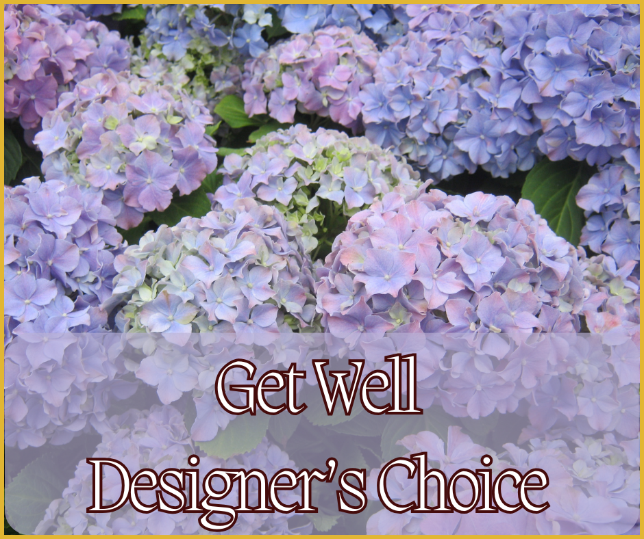 Get Well Designer's Choice