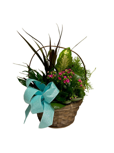 Basket Garden