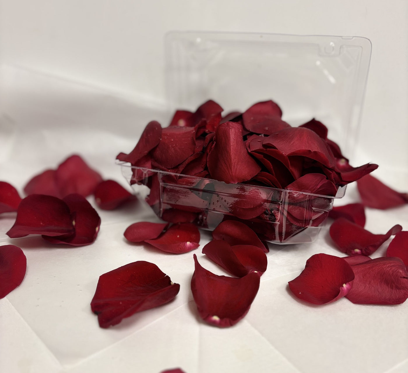 Box of Rose Petals – House-of-Blooms