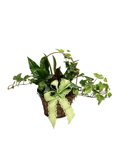 Basket Garden