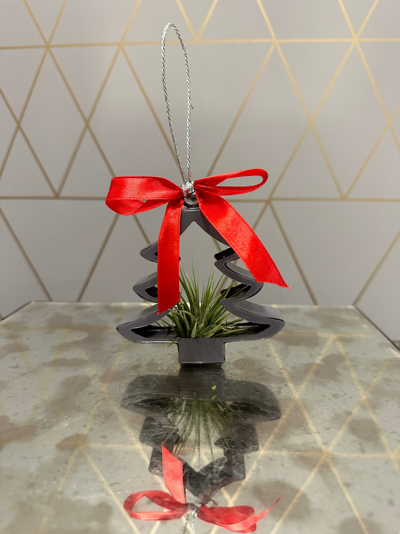 Christmas tree ornament air plant