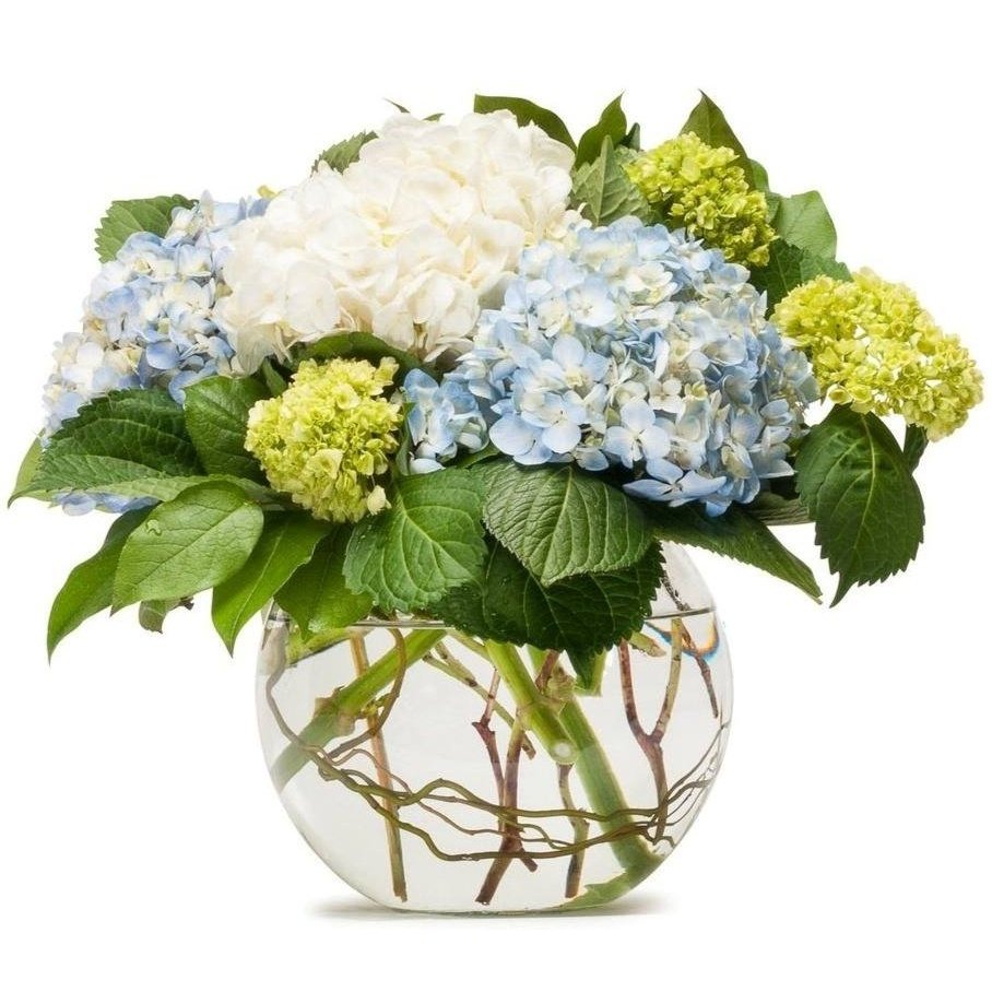 Hydrangea Bouquet in Glass Vase - Fresh Blue, White, and Green Blooms