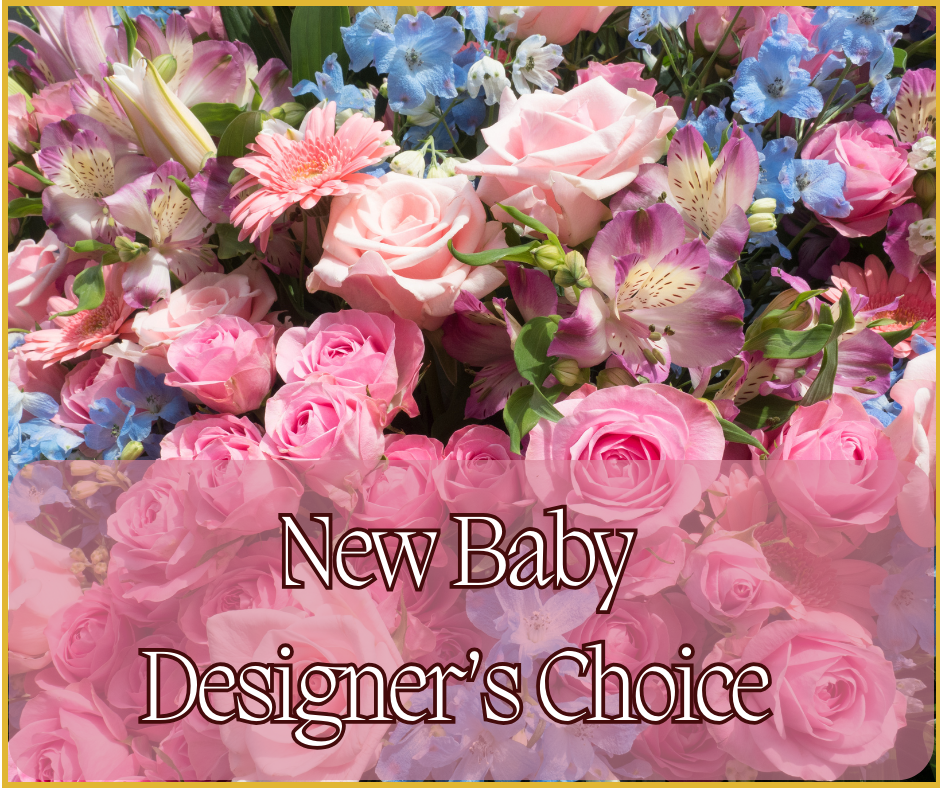 New Baby Designer's Choice