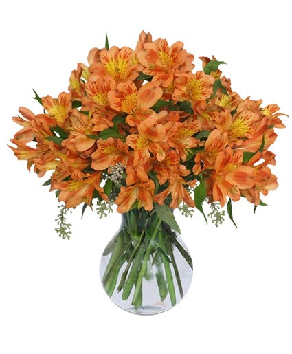 Vibrant orange Alstroemeria flowers arranged in a clear glass vase.