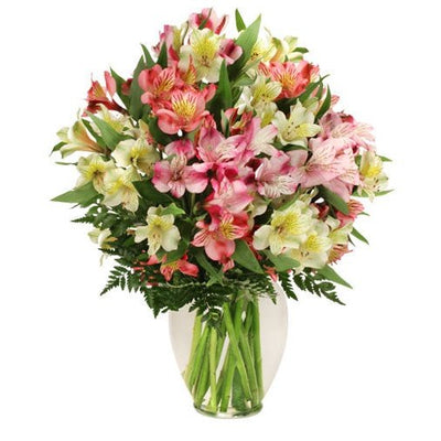 Floral arrangement with pink and white alstroemeria flowers and greenery in a classic clear glass vase.