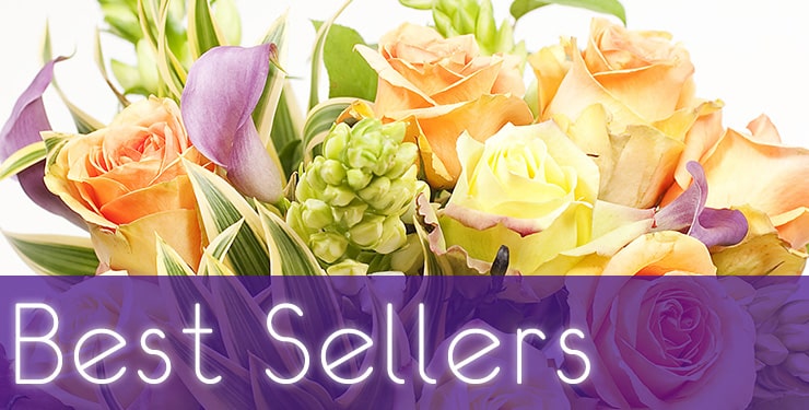 The House of Blooms Best Sellers