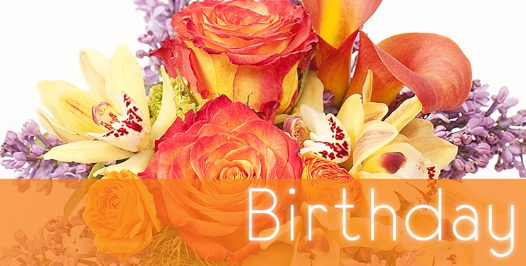The House of Blooms Birthday Collection